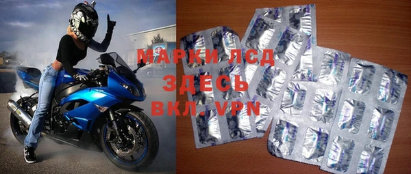 ПСИЛОЦИБИНОВЫЕ ГРИБЫ Губаха
